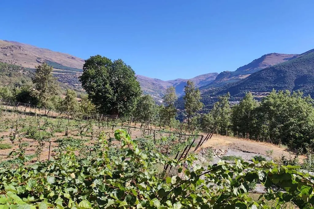 Estudio Moderno En La Alpujarra Granadina Busquistar